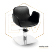 Cadeira de Cabeleireiro Ewtk-401010P