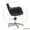 Cadeira de Cabeleireiro Ewtk-401009P
