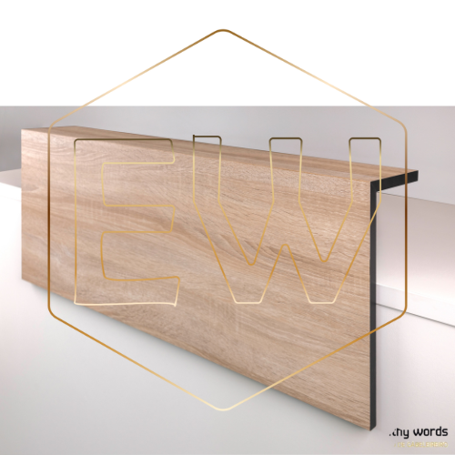 Receção EWMI-TH22/16 - Image 3